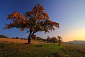 Herbststimmung im Naturpark Obst-Hügel-Land © Martin Rumersdorfer