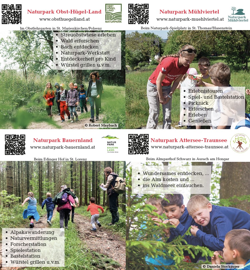programm Programm Familienerlebnistag